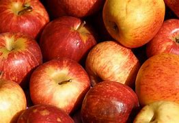 Image result for Ida Red Apple