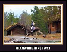 Image result for Funny Norwegian Memes