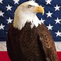 Image result for American Flag National Animal