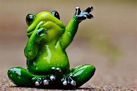 Image result for Cute Green Frog