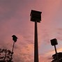 Image result for Rochdale Bats