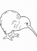 Image result for kiwi birds coloring