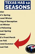Image result for Seasons in Texas