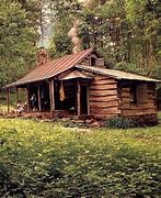 Image result for Cabin with a Man Standing