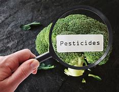 Image result for Pesticide Residue