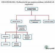 Image result for Organigrama De Una Empresa Mediana
