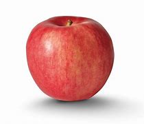 Image result for autumn apples variety