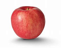 Image result for autumn apples variety