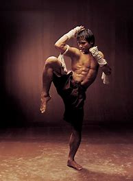 Image result for Martial Arts Drawing