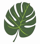 Image result for Tropical Palm Leaf SVG