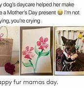 Image result for Animal Mother Meme