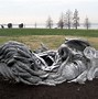 Image result for The Awakening Sculpture
