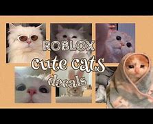 Image result for Roblox Decal IDs Cat Memes