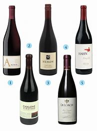 Image result for Pinot Noir
