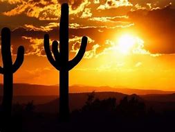 Image result for Arizona Heat Melting