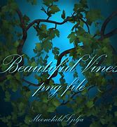 Image result for Beautiful Vines