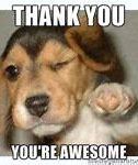 Image result for Thank You Meme Pic