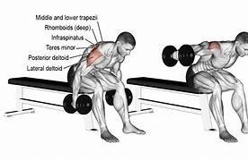 Image result for Back Exercises On Fly Machine