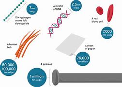 Image result for How Big Is a Cell Compared to 1 Nanometer