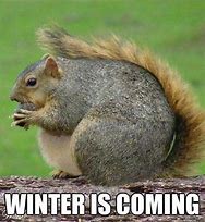 Image result for Yay for Winter Meme