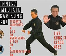 Image result for Hung Gar Kung Fu Techniques