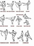 Image result for Major Types of Karate