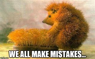 Image result for We All Make Mistakes Meme