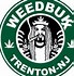 Image result for Cute Colorful Starbucks Logo