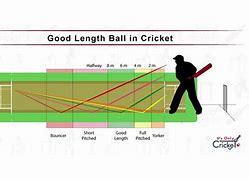 Image result for Half Volley in Cricket