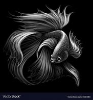 Image result for Black and White Tropical Fish