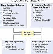 Image result for Bipolar 1 vs 2
