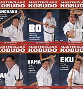 Image result for Shotokan Karate Weapons