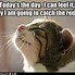 Image result for Happy Tuesday Unicorn Meme