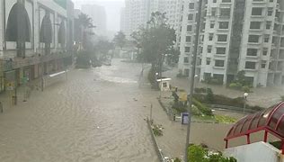 Image result for Hong Kong Taifun
