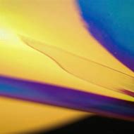Image result for iPad Wallpaper Yellow Abstract