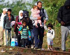 Image result for Migrants Profile Photo