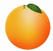 Image result for oranges clip arts