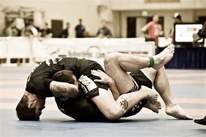 Image result for Brazilian Jiu-Jitsu No GI