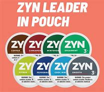 Image result for Zin Pouch