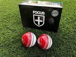 Image result for Focus Cricket Balls