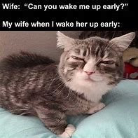 Image result for Waking Up Too Early Meme