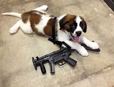 Image result for Dog with Gun