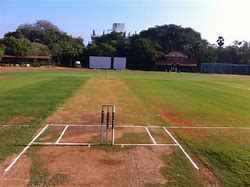 Image result for Cricket Ground Pitch