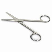 Image result for Dissection Scissors