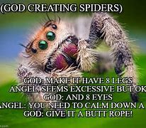 Image result for Ohio Spider Meme