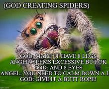Image result for Creepy Spider Memes