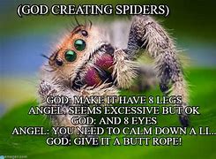 Image result for Spider Bro Meme