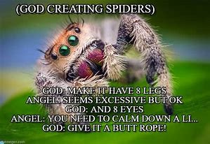 Image result for Funny Memes About Spiders