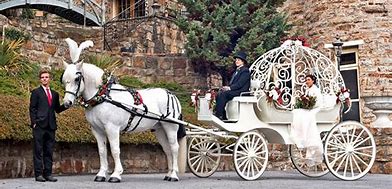 Image result for Cinderella Animals Godmother Carriage
