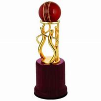 Image result for Full Pitch Cricket Trophy